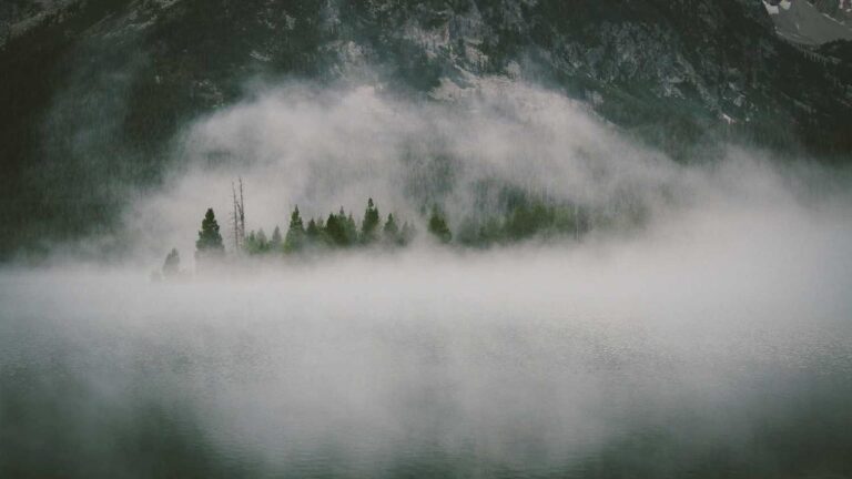 What Special Features Come With 99Exch Pro?